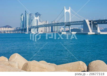 Gwangan bridge and Haeundae in Busan,Korea 20677319