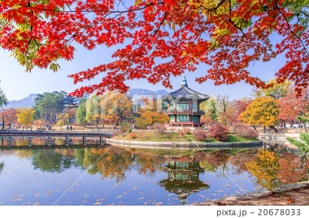 Gyeongbokgung Palace in autumn,South Korea. 20678033