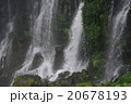 白糸の滝,静岡県 20678193