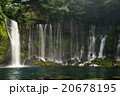 白糸の滝,静岡県 20678195