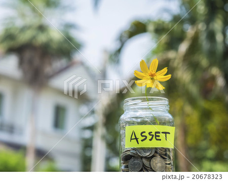 Flower and coins in glass jar against blur house. 20678323