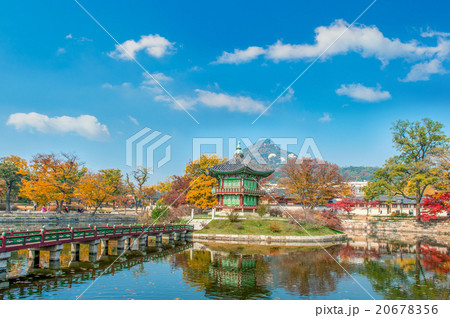 Autumn in Gyeongbukgung Palace,Korea. Autumn in Gyeongbukgung Palace,Korea. 20678356