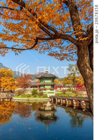 Gyeongbokgung Palace in autumn,South Korea. Gyeongbokgung Palace in autumn,South Korea. 20678358