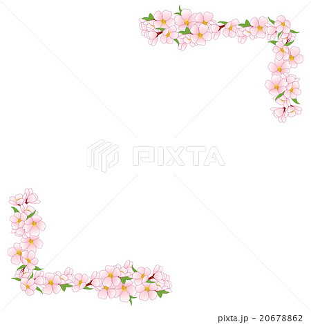 桜フレーム 桜フレーム 20678862