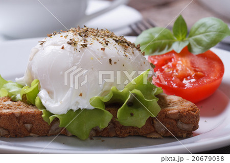 sandwich with egg Benedict and tomato closeup sandwich with egg Benedict and tomato closeup 20679038
