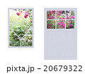 薔薇が見える窓色々 20679322