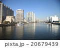 天王洲アイル　京浜運河と高層ビル 20679439