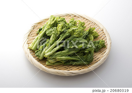 菜の花 20680319