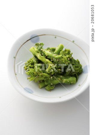 菜の花の胡麻和え 菜の花の胡麻和え 20681053