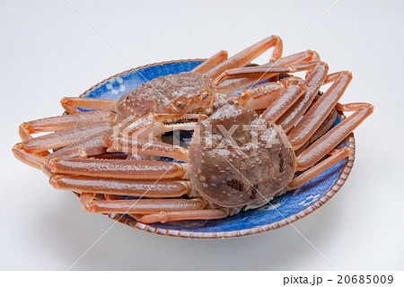 ズワイガニ ズワイガニ 20685009