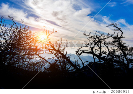Landscape of sunset with cloudy blue sky. 20686912