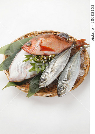 魚の盛り合せ 魚の盛り合せ 20688153