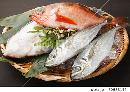 魚の盛り合せ 20688155