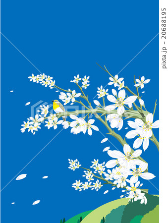 春の風景のイラスト素材 20688195 Pixta