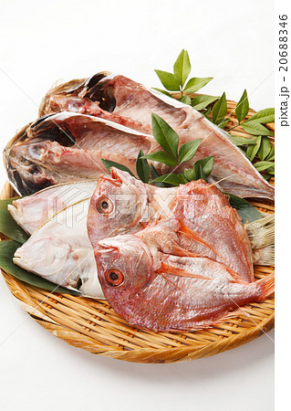 魚の盛り合せ 20688346