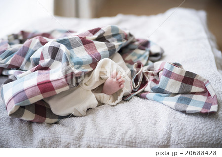 赤ちゃんの小さな足 赤ちゃんの小さな足 20688428