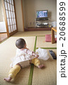 ハイハイする赤ちゃん 20688599
