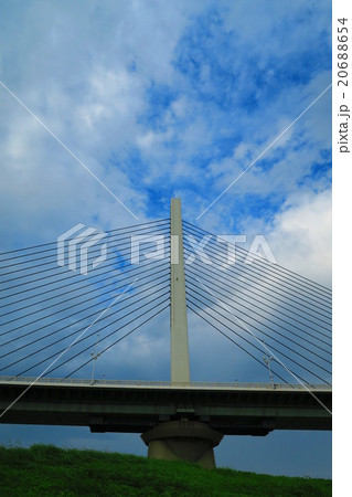 かつしかハープ橋 かつしかハープ橋 20688654
