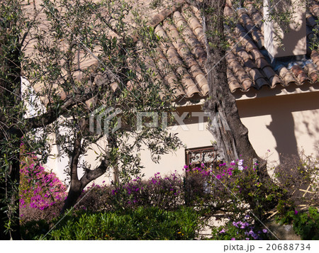 french riviera 20688734