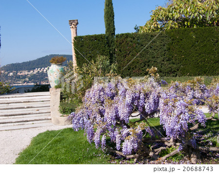 french riviera 20688743