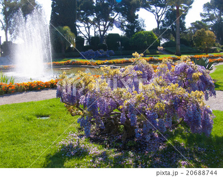 french riviera 20688744