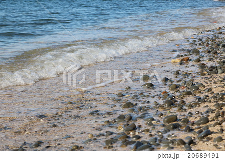 淡島神社の横の海岸 20689491