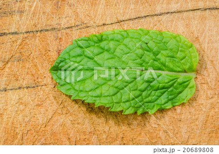 Mint leaves Mint leaves 20689808