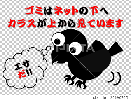 推薦！烏鴉重生方法③ 20690765
