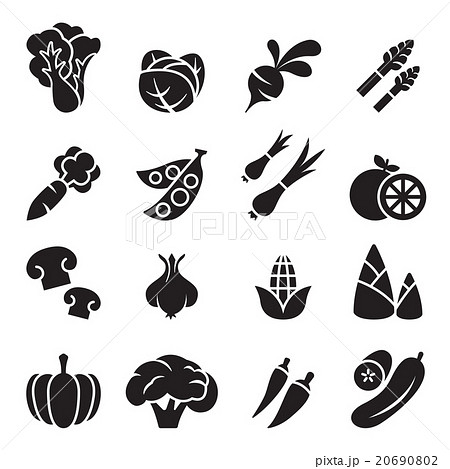 Vegetable icon set 2 20690802