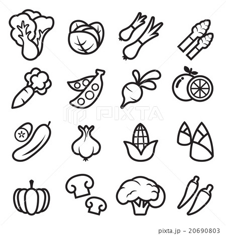 Vegetable icon 20690803