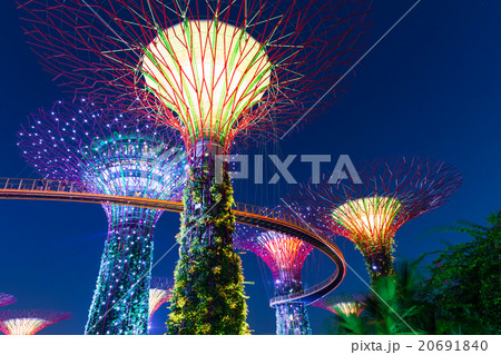 Light Show at Super Tree Grove, Singapore 20691840