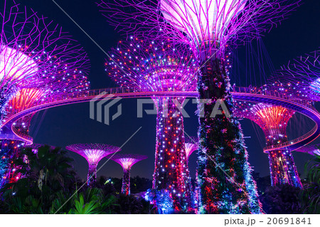 Light Show at Super Tree Grove, Singapore Light Show at Super Tree Grove, Singapore 20691841
