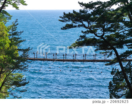 伊豆高原の橋立吊り橋の海岸 20692625