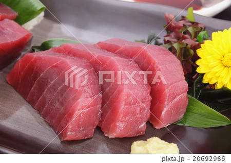 鮪 造り 鮪 造り 20692986