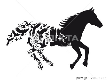 Horse with flying birds, vector 20693522