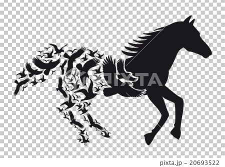 Horse with flying birds, vector 20693522