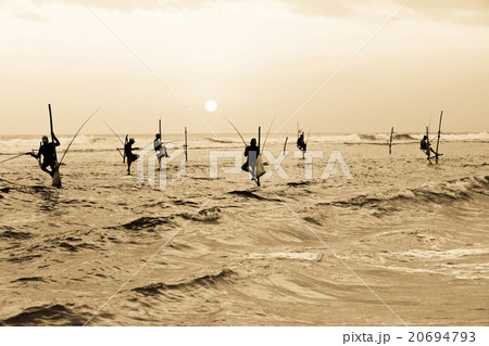 traditional stilt fishermen at sunset, Sri Lanka 20694793
