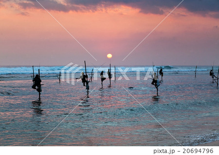 traditional stilt fishermen at sunset, Sri Lanka traditional stilt fishermen at sunset, Sri Lanka 20694796