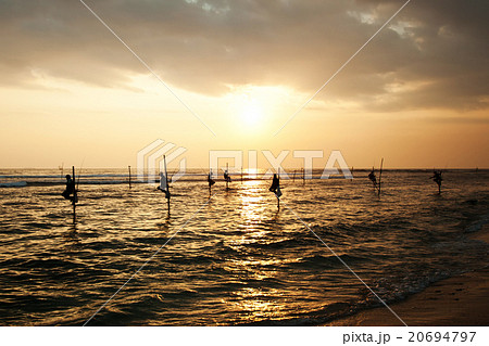 traditional stilt fishermen at sunset, Sri Lanka 20694797