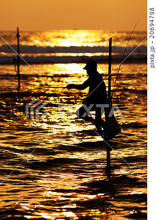 traditional stilt fishermen at sunset, Sri Lanka 20694798
