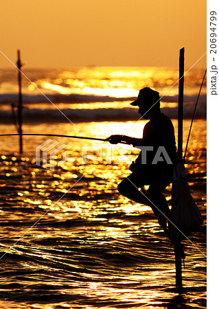 traditional stilt fishermen at sunset, Sri Lanka 20694799