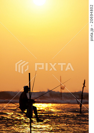 traditional stilt fishermen at sunset, Sri Lanka 20694802