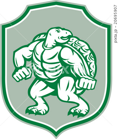 Green Turtle Fighter Mascot Shield Retro 20695907