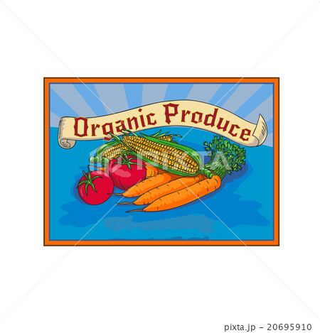 Organic Produce Crop Harvest Label Watercolor 20695910