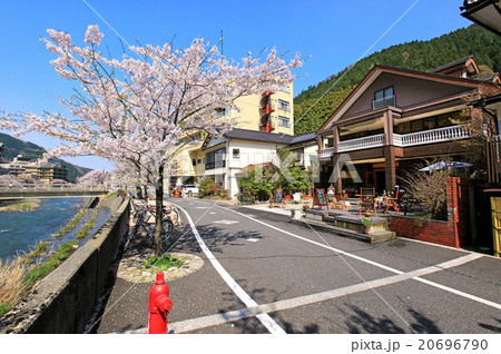 温海温泉街と桜 温海温泉街と桜 20696790