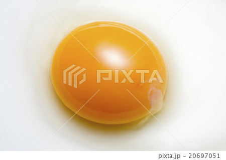 生卵 20697051
