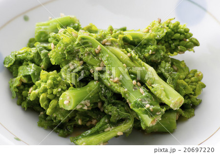 菜の花の胡麻和え 菜の花の胡麻和え 20697220