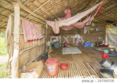 カンボジア シェムリアップ 農家 カンボジア シェムリアップ 農家 20700556