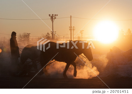 ばんえい　調教 20701451