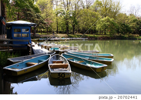 札幌 中島公園の手漕ぎボートの写真素材